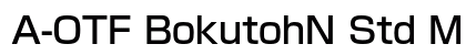 A-OTF BokutohN Std M preview