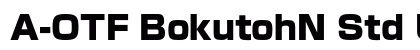 A-OTF BokutohN Std U preview