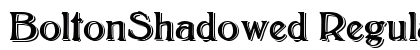 BoltonShadowed Regular preview