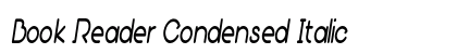 Book Reader Condensed Italic Preview