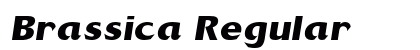 Brassica Regular Preview