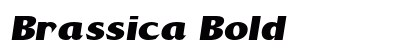 Brassica Bold Preview