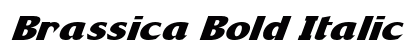 Brassica Bold Italic Preview