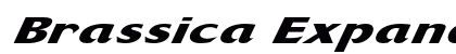 Brassica Expanded Italic Preview