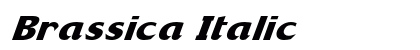 Brassica Italic Preview