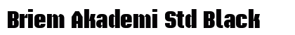 Briem Akademi Std Black Preview