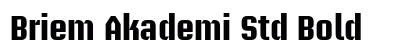 Briem Akademi Std Bold preview