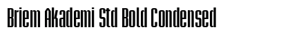 Briem Akademi Std Bold Condensed Preview