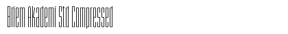 Briem Akademi Std Compressed Preview