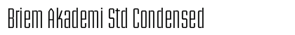 Briem Akademi Std Condensed Preview