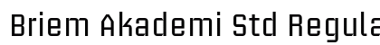 Briem Akademi Std Regular Preview