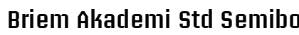 Briem Akademi Std Semibold Preview