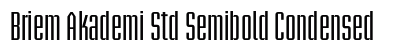 Briem Akademi Std Semibold Condensed Preview