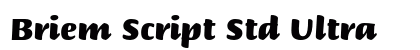 Briem Script Std Ultra preview