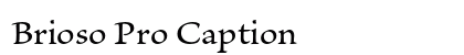 Brioso Pro Caption preview