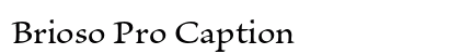 Brioso Pro Caption preview