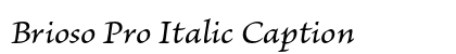 Brioso Pro Italic Caption Preview