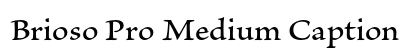 Brioso Pro Medium Caption Preview