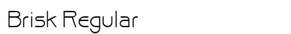 Brisk Regular Preview