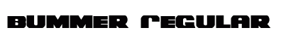 Bummer Regular preview