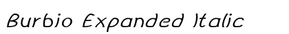 Burbio Expanded Italic Preview