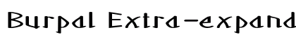 Burpal Extra-expanded Bold Preview