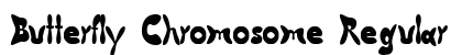 Butterfly Chromosome Regular preview
