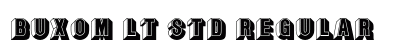 Buxom LT Std Regular preview