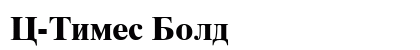 C-Times Bold preview