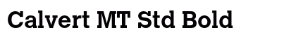 Calvert MT Std Bold preview