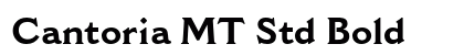 Cantoria MT Std Bold Preview