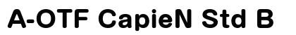 A-OTF CapieN Std B preview