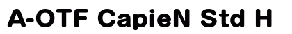 A-OTF CapieN Std H preview
