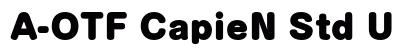 A-OTF CapieN Std U preview