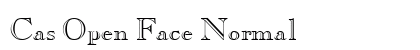 Cas Open Face Normal preview