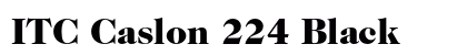 ITC Caslon 224 Black preview
