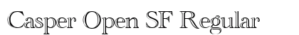 Casper Open SF Regular preview