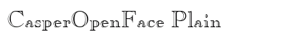 CasperOpenFace Plain preview