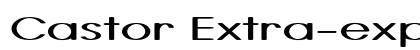 Castor Extra-expanded Bold Preview