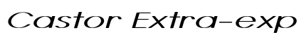 Castor Extra-expanded Italic preview