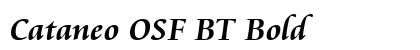 Cataneo OSF BT Bold preview