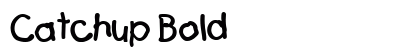 Catchup Bold preview