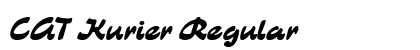 CAT Kurier Regular preview