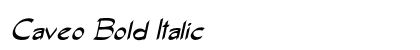 Caveo Bold Italic Preview