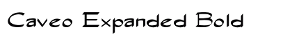 Caveo Expanded Bold preview