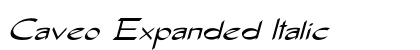 Caveo Expanded Italic Preview