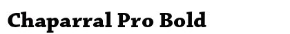 Chaparral Pro Bold preview