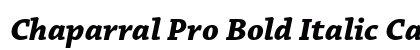 Chaparral Pro Bold Italic Caption Preview
