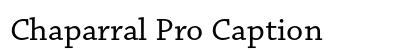 Chaparral Pro Caption preview