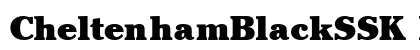 CheltenhamBlackSSK Normal preview